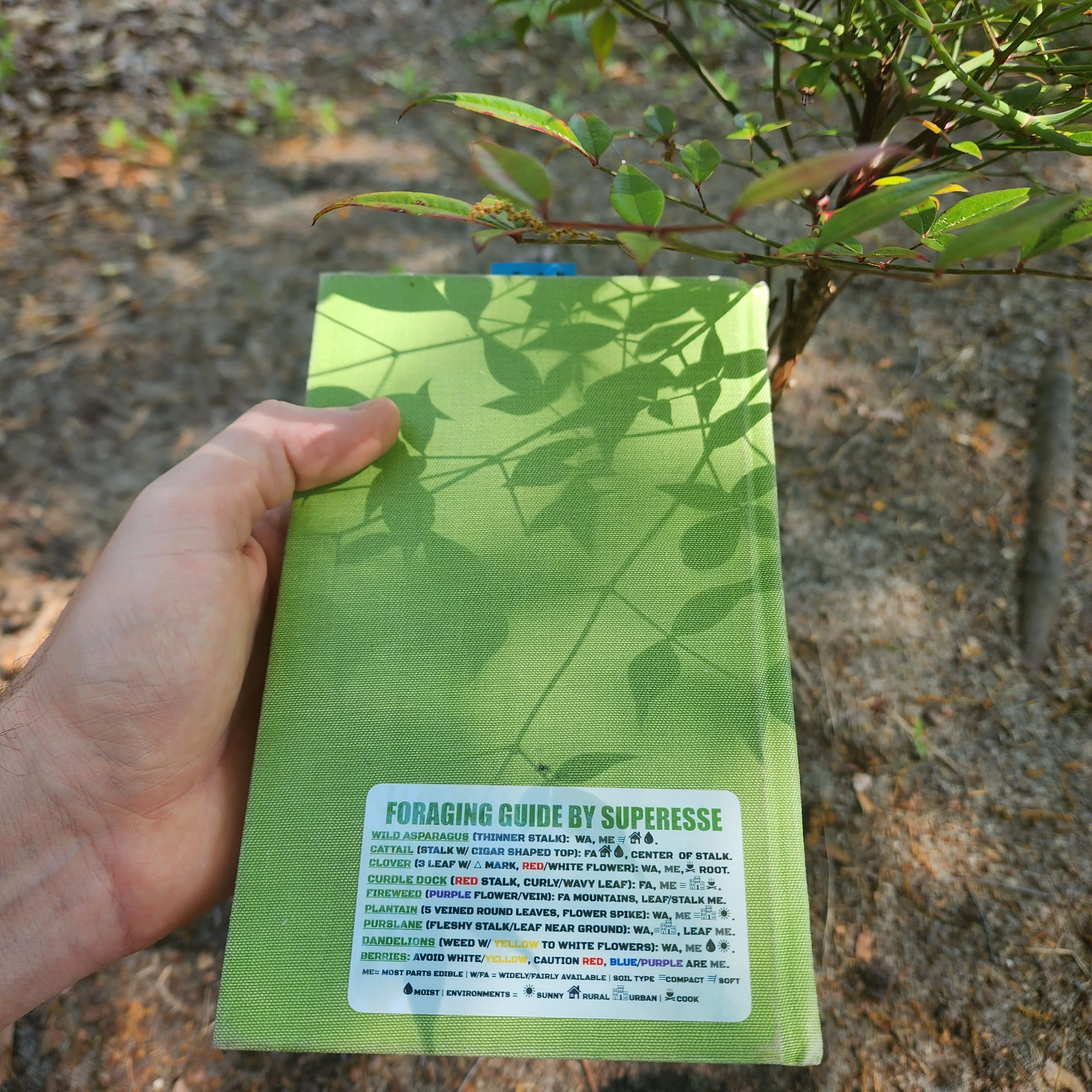 Foraging Guide Decal - Plants and Edibles Quick Identification Reference - Image 3