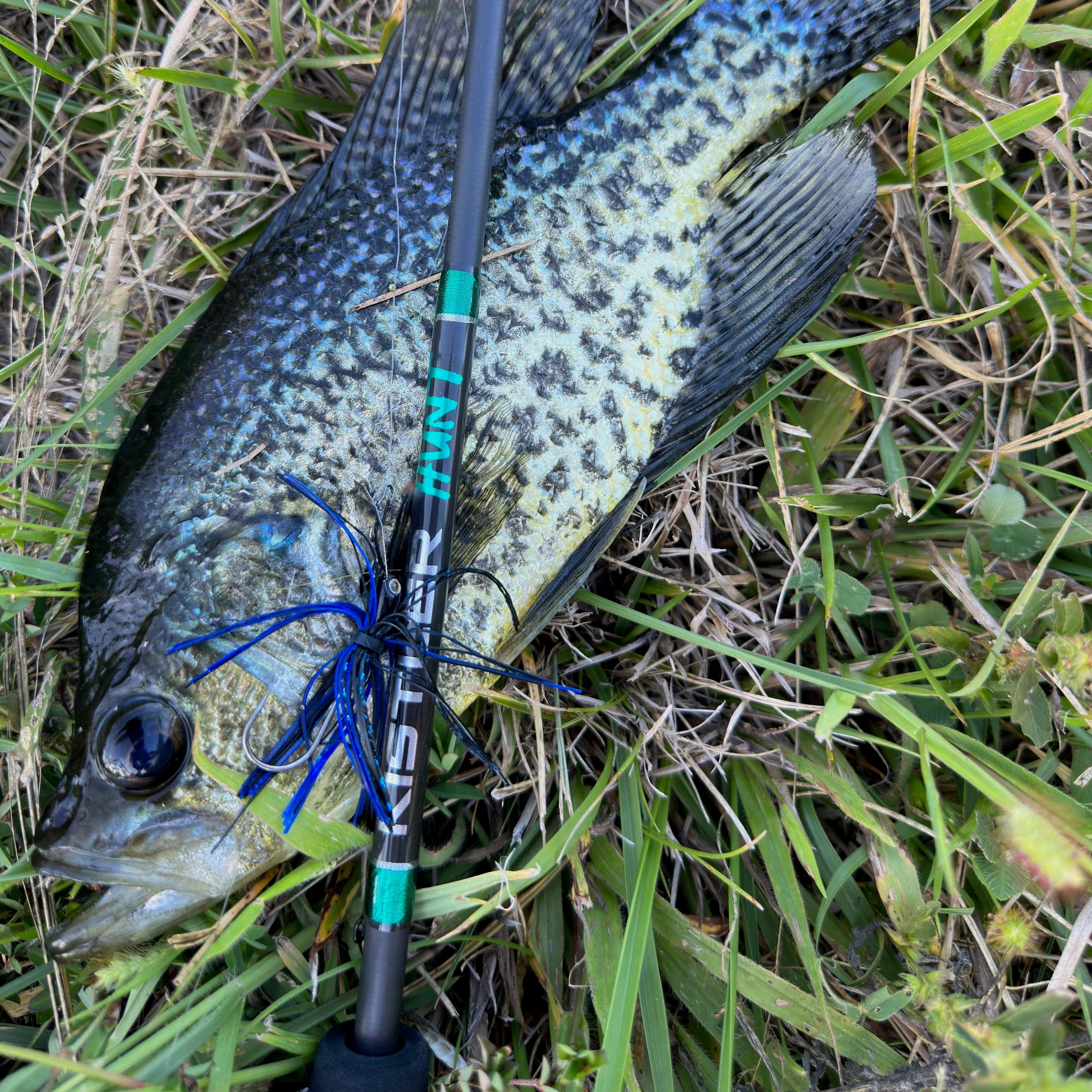 Hunt BFS Fishing Rods - Image 7