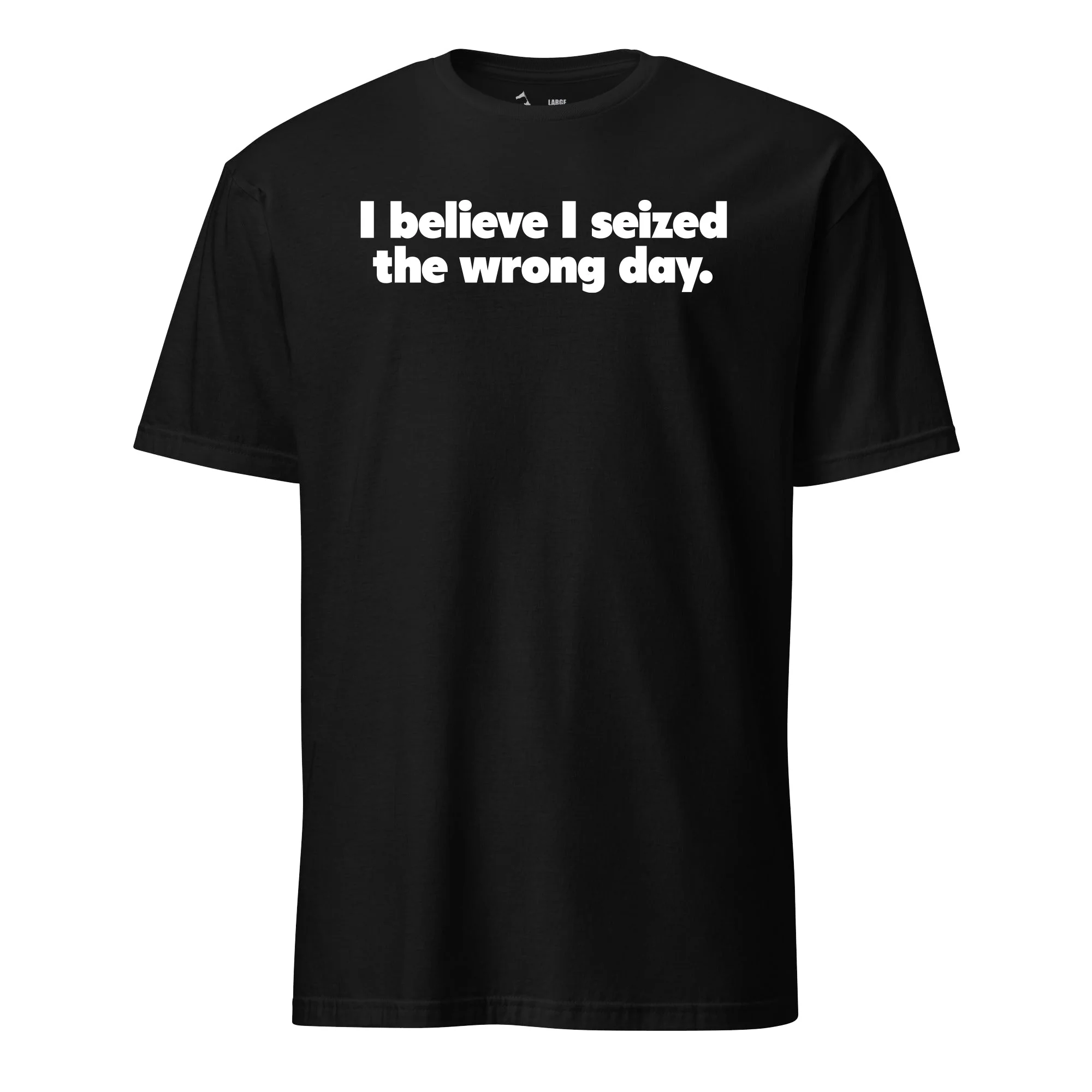 I Believe I Seized the Wrong Day T-Shirt - Image 3